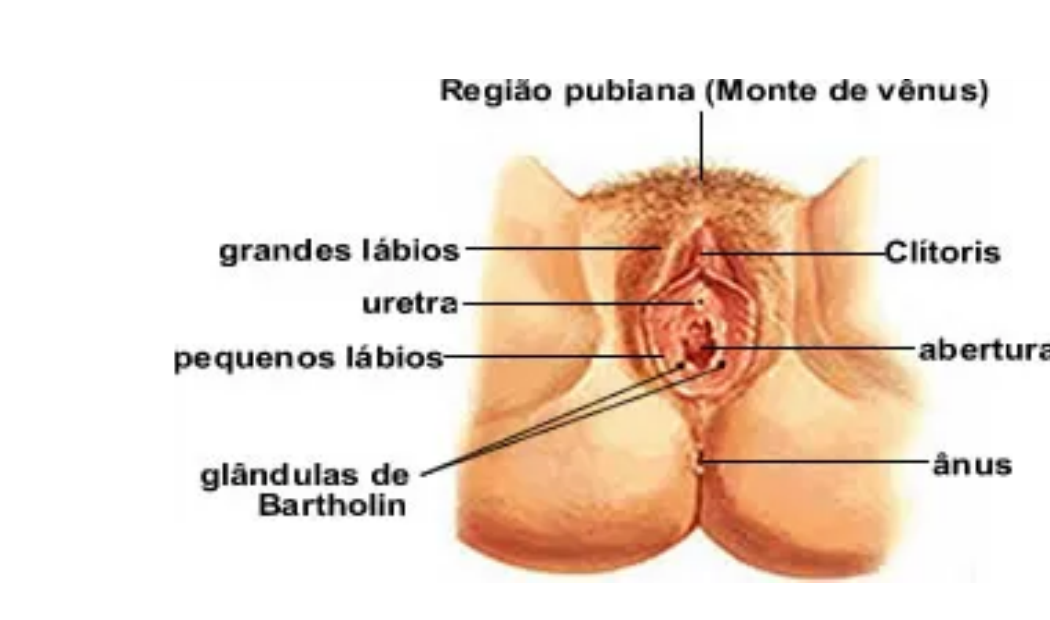 Diagrama anatômico - referência dos incômodos